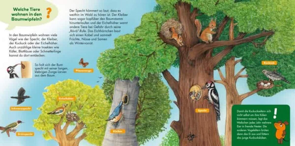 Carlsen Verlag Frag doch mal ... die Maus: Im Wald von Susanne Riha