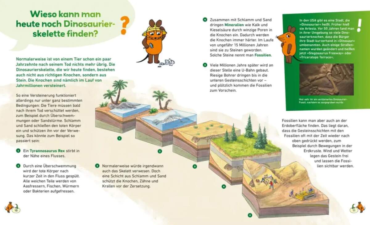 Carlsen Verlag Frag doch mal ... die Maus: Dinosaurier von Heike Tober, Johann Brandstetter
