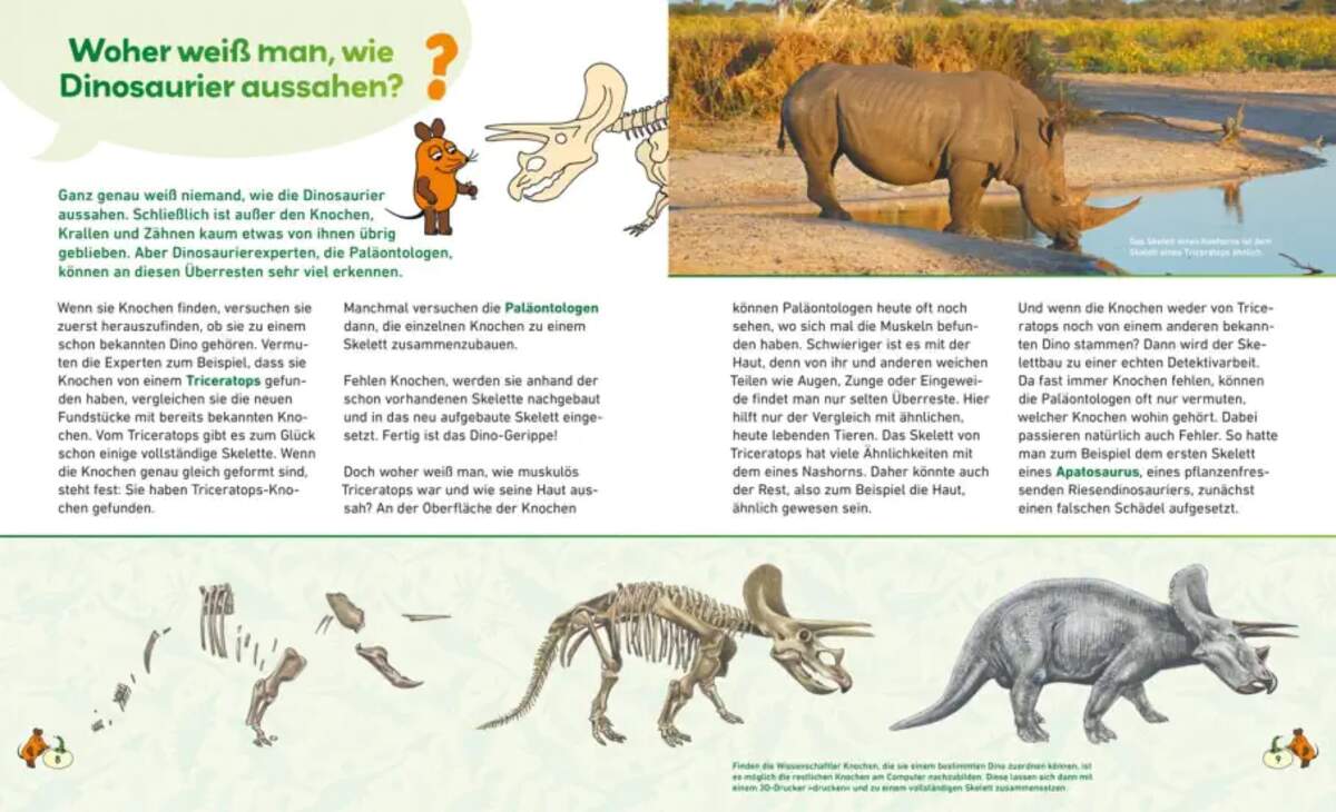 Carlsen Verlag Frag doch mal ... die Maus: Dinosaurier von Heike Tober, Johann Brandstetter