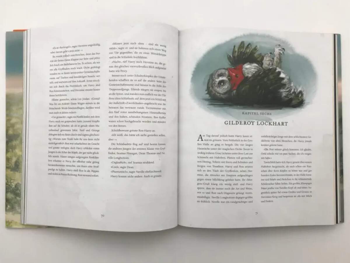 Carlsen Verlag Harry Potter und die Kammer des Schreckens (farbig illustrierte Schmuckausgabe)