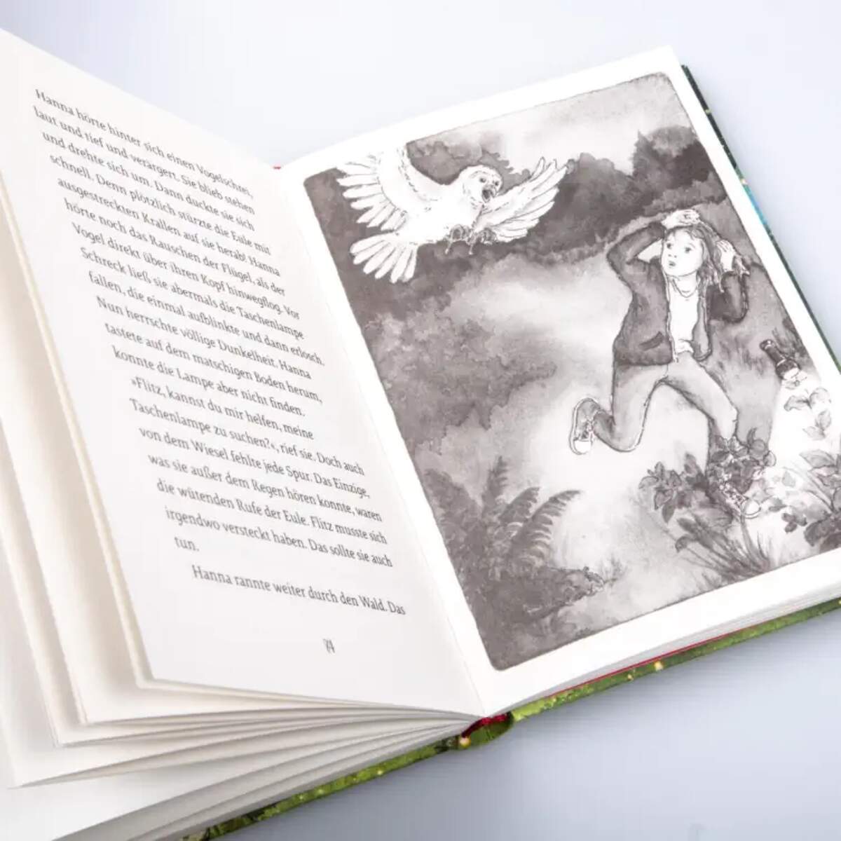 Carlsen Verlag Hüterin des Waldes 1: Hannas Geheimnis