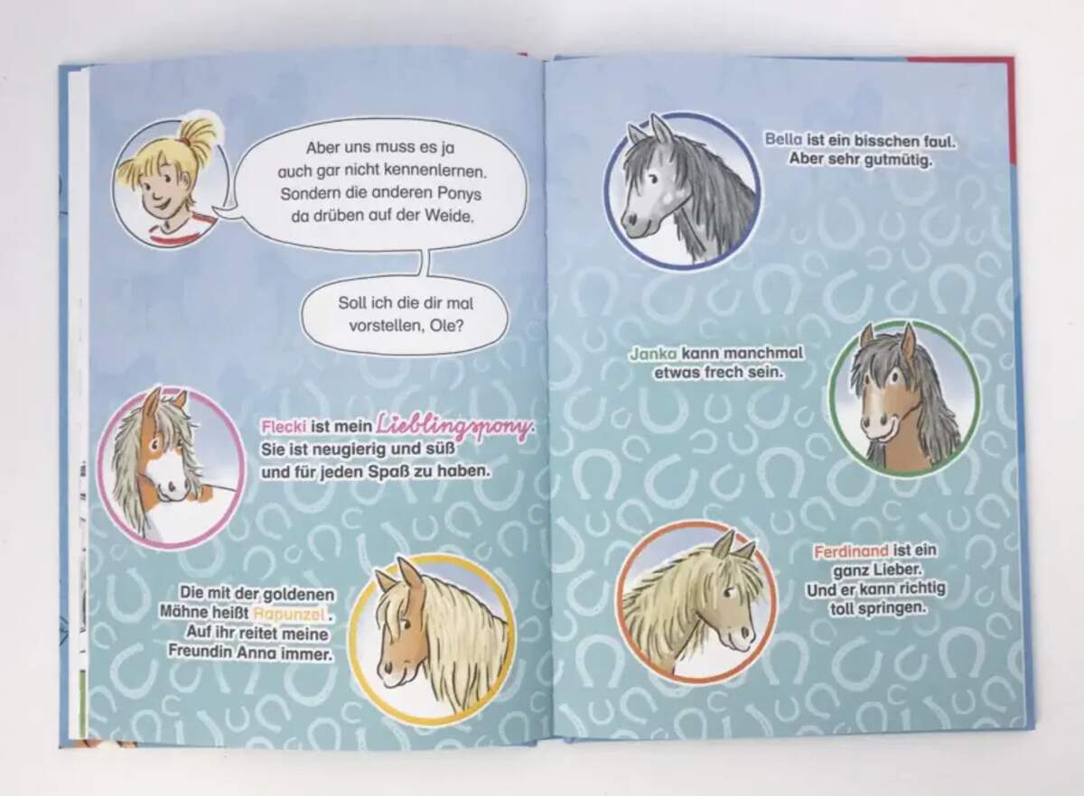 Carlsen Verlag Lesespaß mit Conni: Conni und das wilde Pony (Zum Lesenlernen)