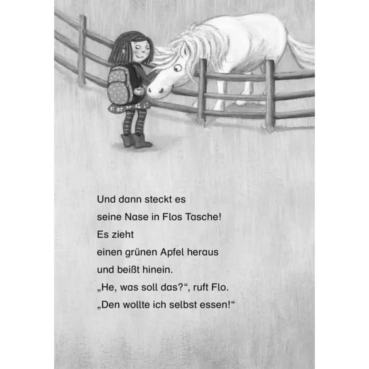 Carlsen Verlag Pony Flocke Doppelband