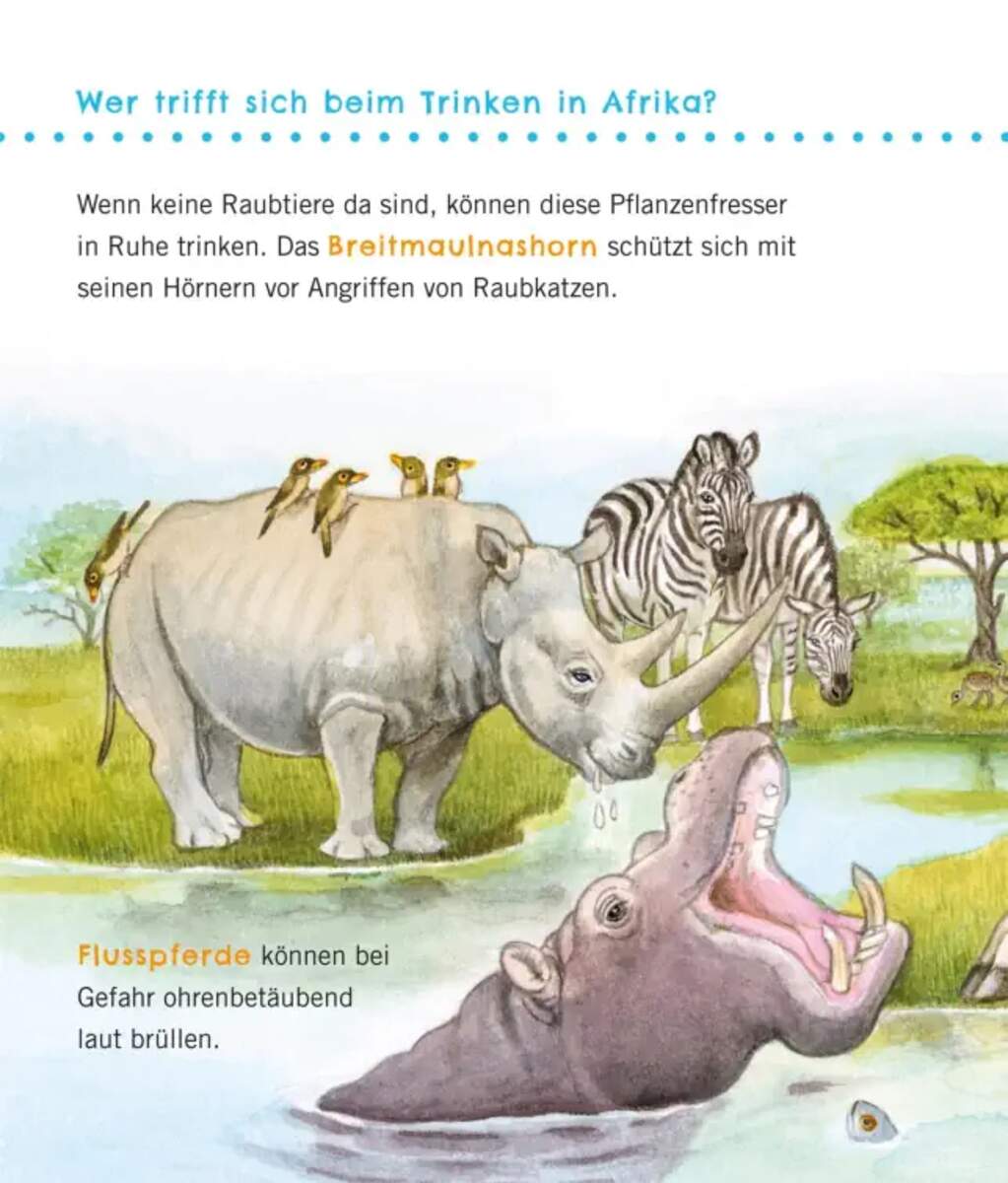 Carlsen Verlag Unkaputtbar: Erstes Wissen: Große Tiere