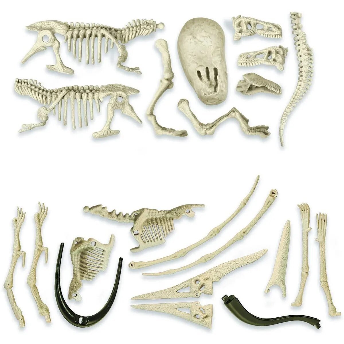 Clementoni 19205 Jurassic World 3-Ausgrabungs-Set T-Rex & Pteranodon