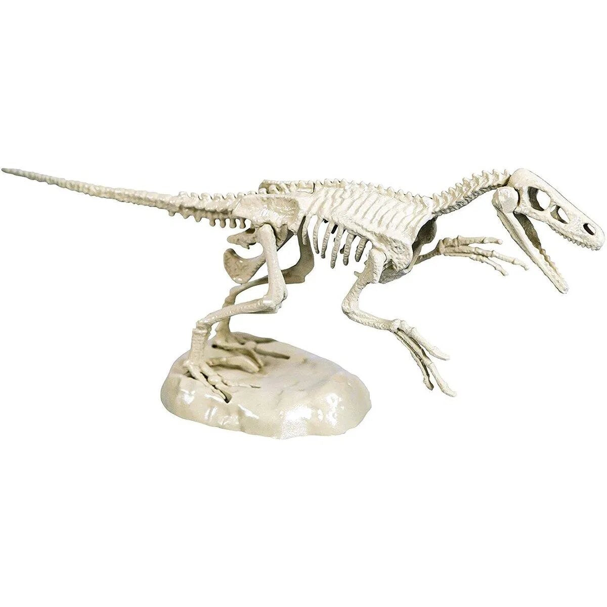 Clementoni Ausgrabungs-Set Velociraptor