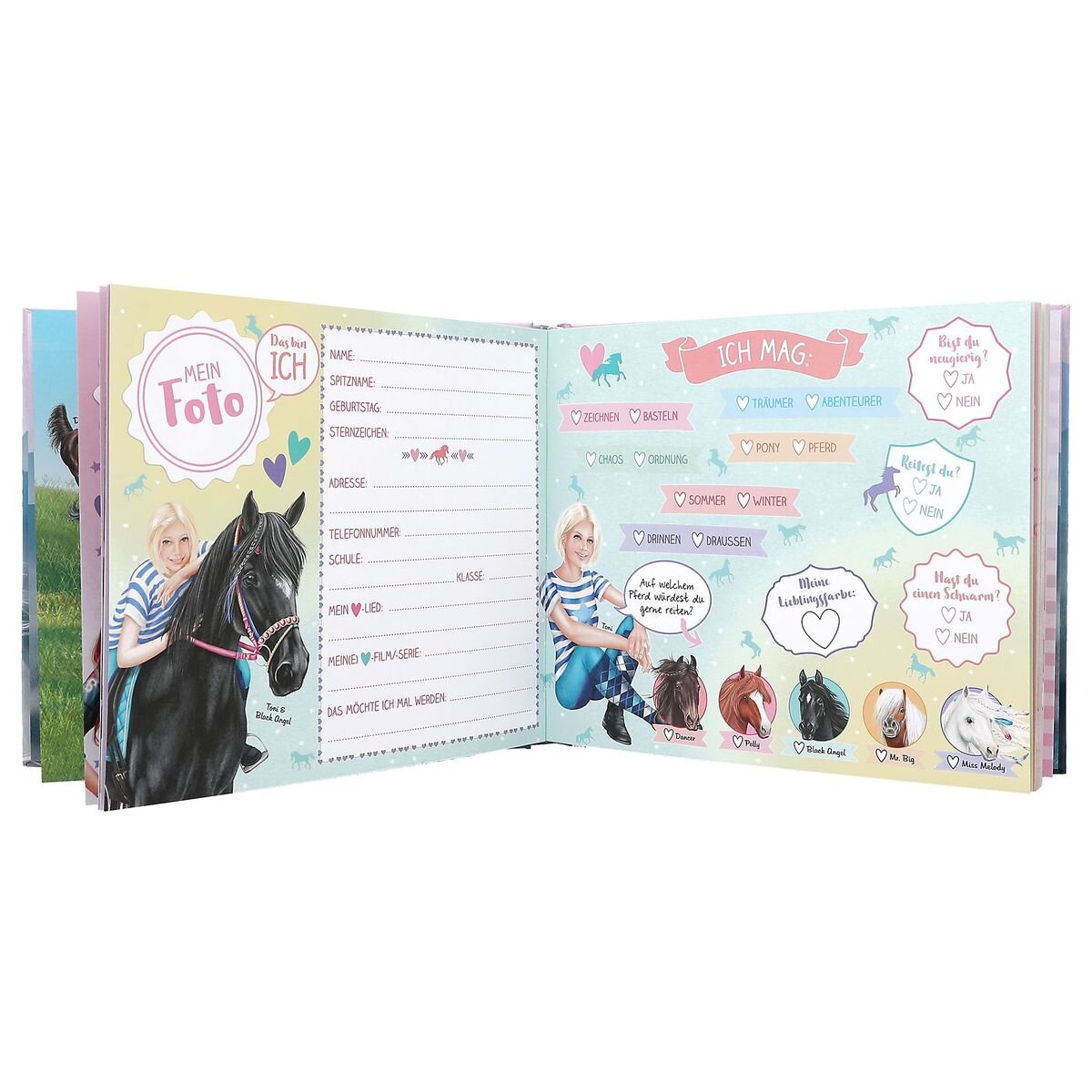 Depesche Miss Melody Freundebuch, Motiv 2