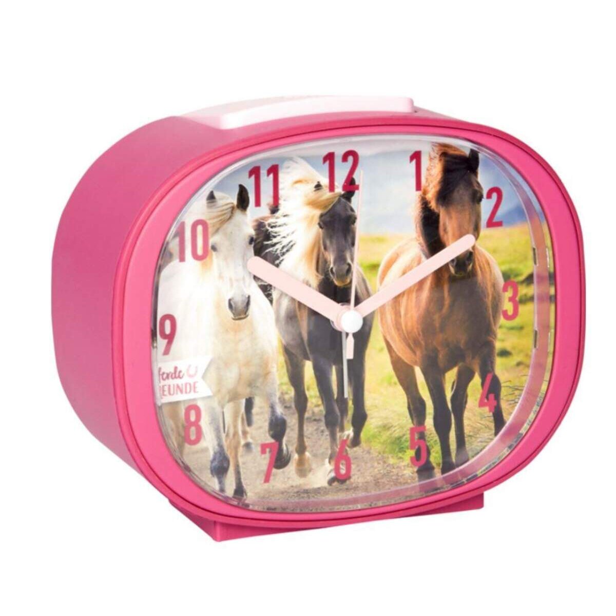 Die Spiegelburg Wecker Pferdefreunde (mit Wieher-Weckton)