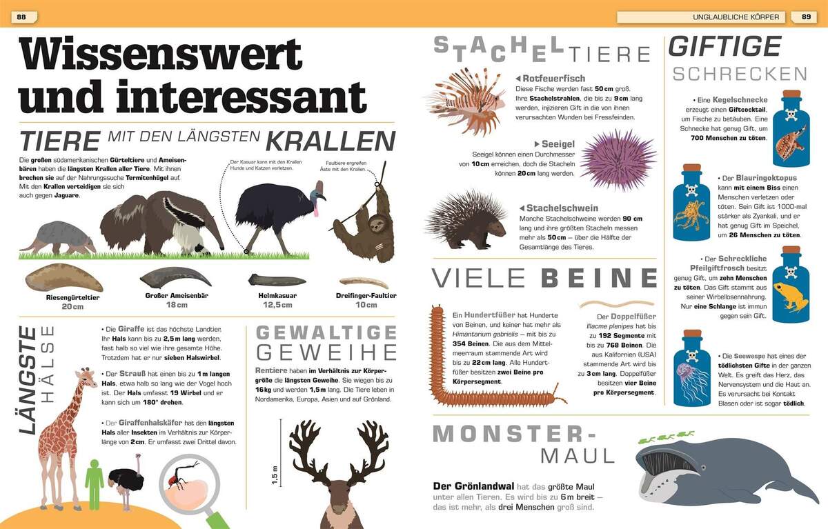 DK Verlag Buch Total verrückte Tiere Geniale Tricks, verblüffende Rekorde, verborgene Talente