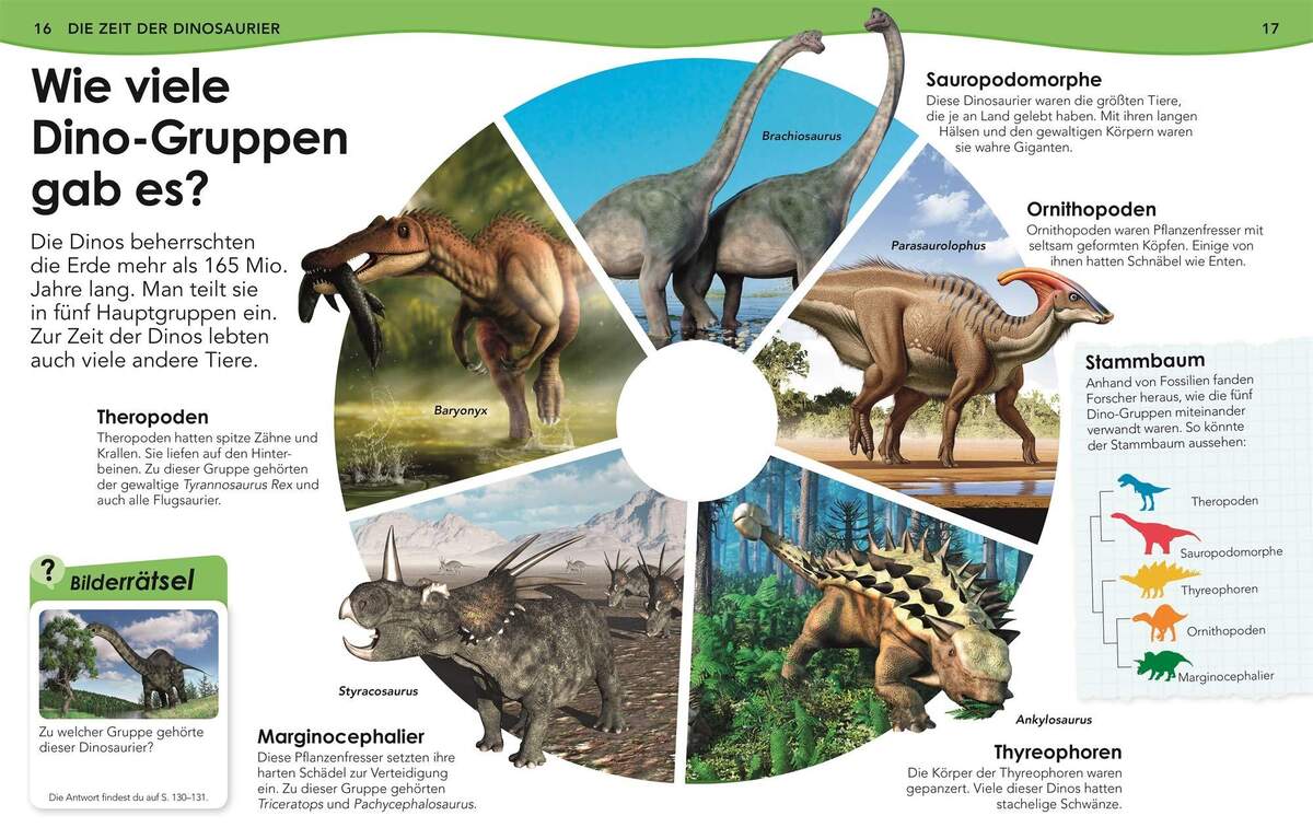 DK Verlag Buch Weshalb? Deshalb! Dinos Das Frage-und-Antwort-Lexikon