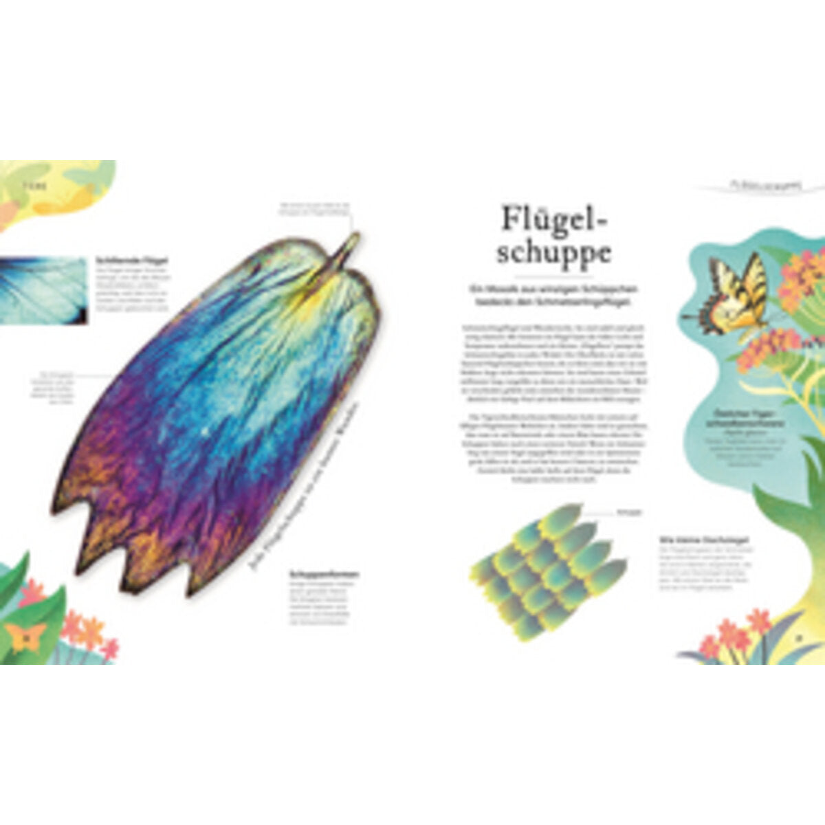 DK Verlag Große und kleine Schätze der Natur. Große und kleine Schätze der Natur