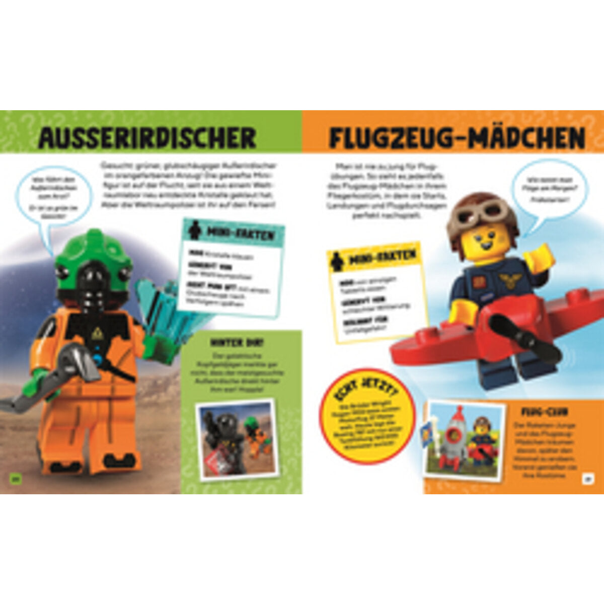 DK Verlag LEGO® Die Welt der Minifiguren