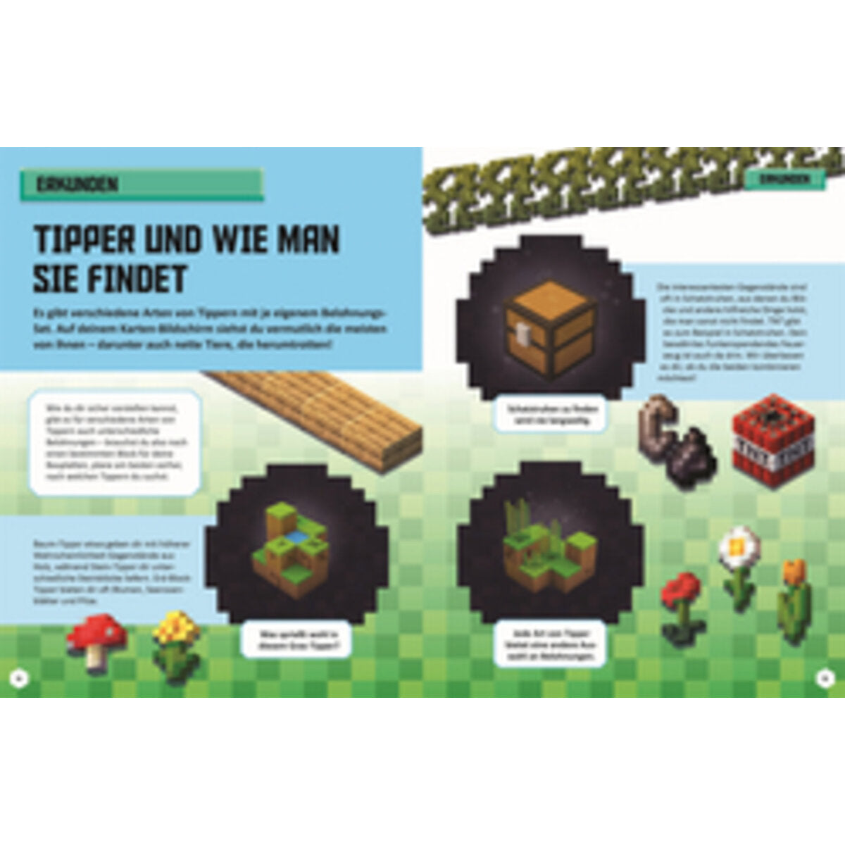 DK Verlag Unabhängig und inoffiziell: Minecraft Earth Das Gamer-Buch