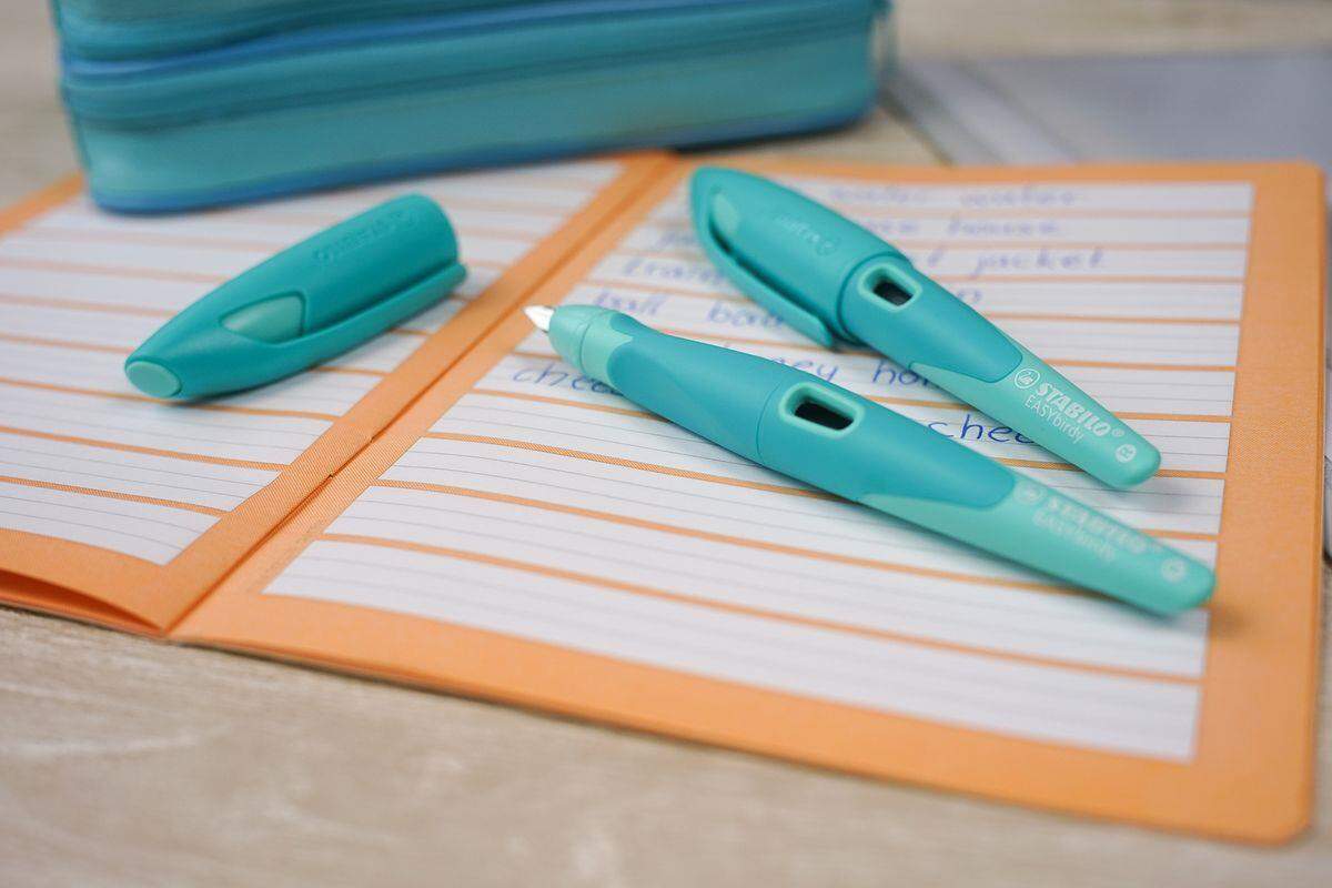 Ergonomischer Schulfüller für Rechtshänder mit Anfänger-Feder A - STABILO EASYbirdy Pastel Edition in aqua grün/mint - Einzelstift - inklusive Patrone - Schreibfarbe blau (löschbar)