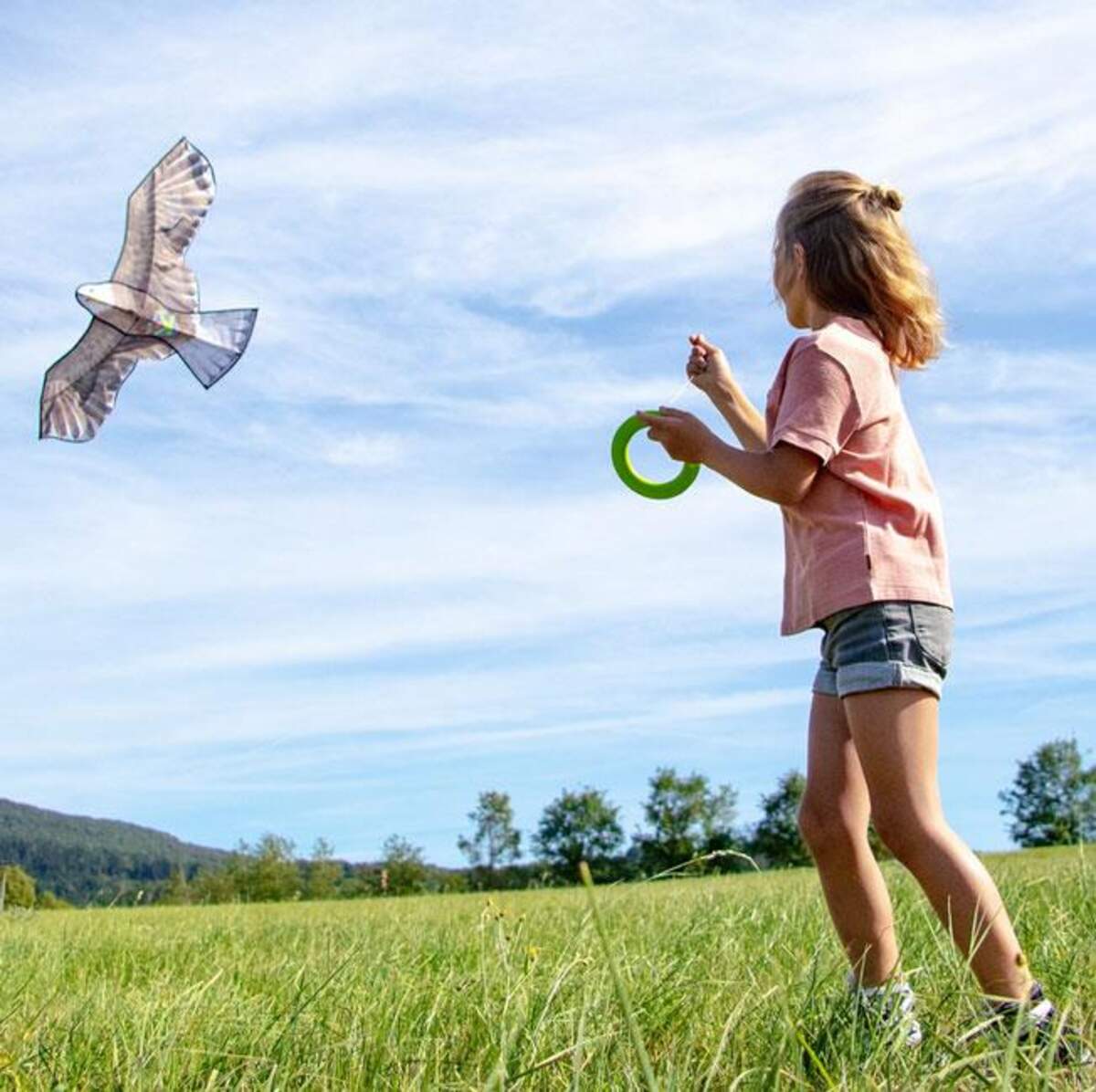 HABA 306016 Terra Kids Flugdrache
