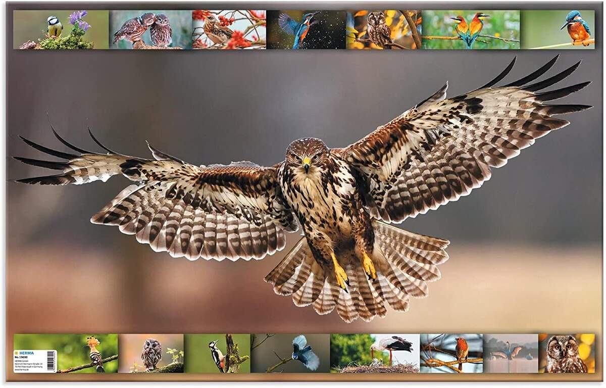 HERMA 19690 Schreibtischunterlage Tierwelten Heimatvögel, 55 x 35 cm