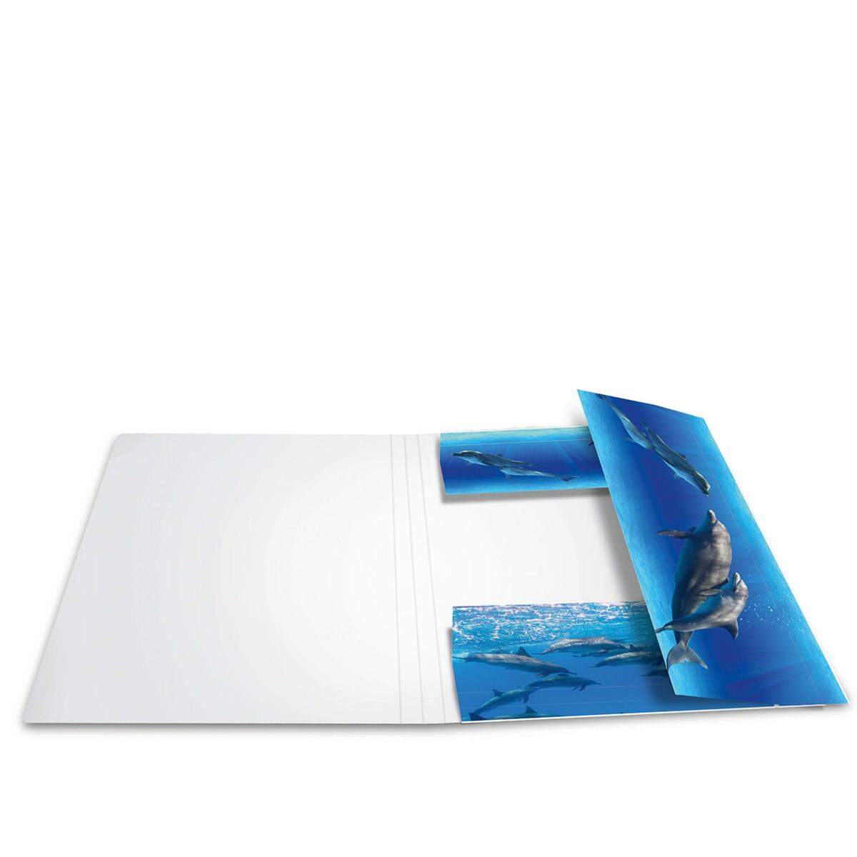 HERMA Sammelmappe A4 Karton Delfine