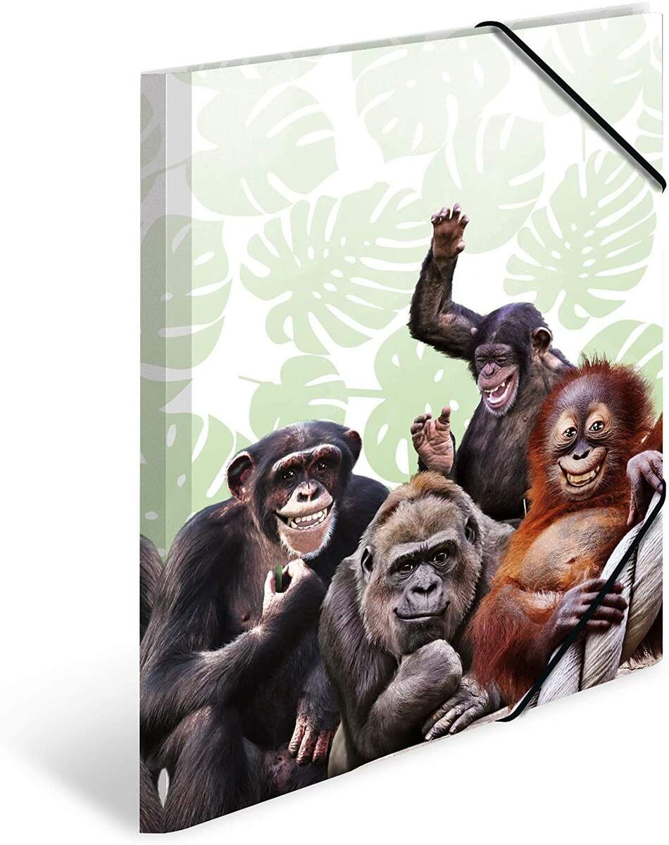 HERMA Sammelmappe DIN A3 Exotische Tiere - Affenbande