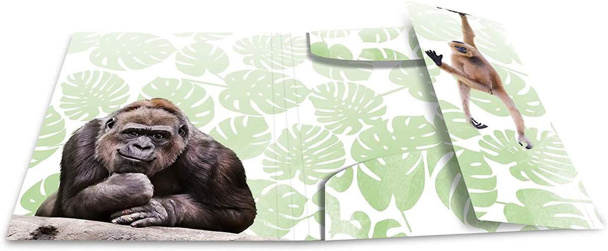 HERMA Sammelmappe DIN A3 Exotische Tiere - Affenbande