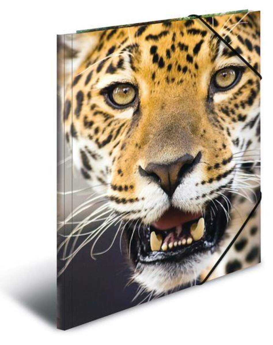 HERMA Sammelmappe Leopard, A4