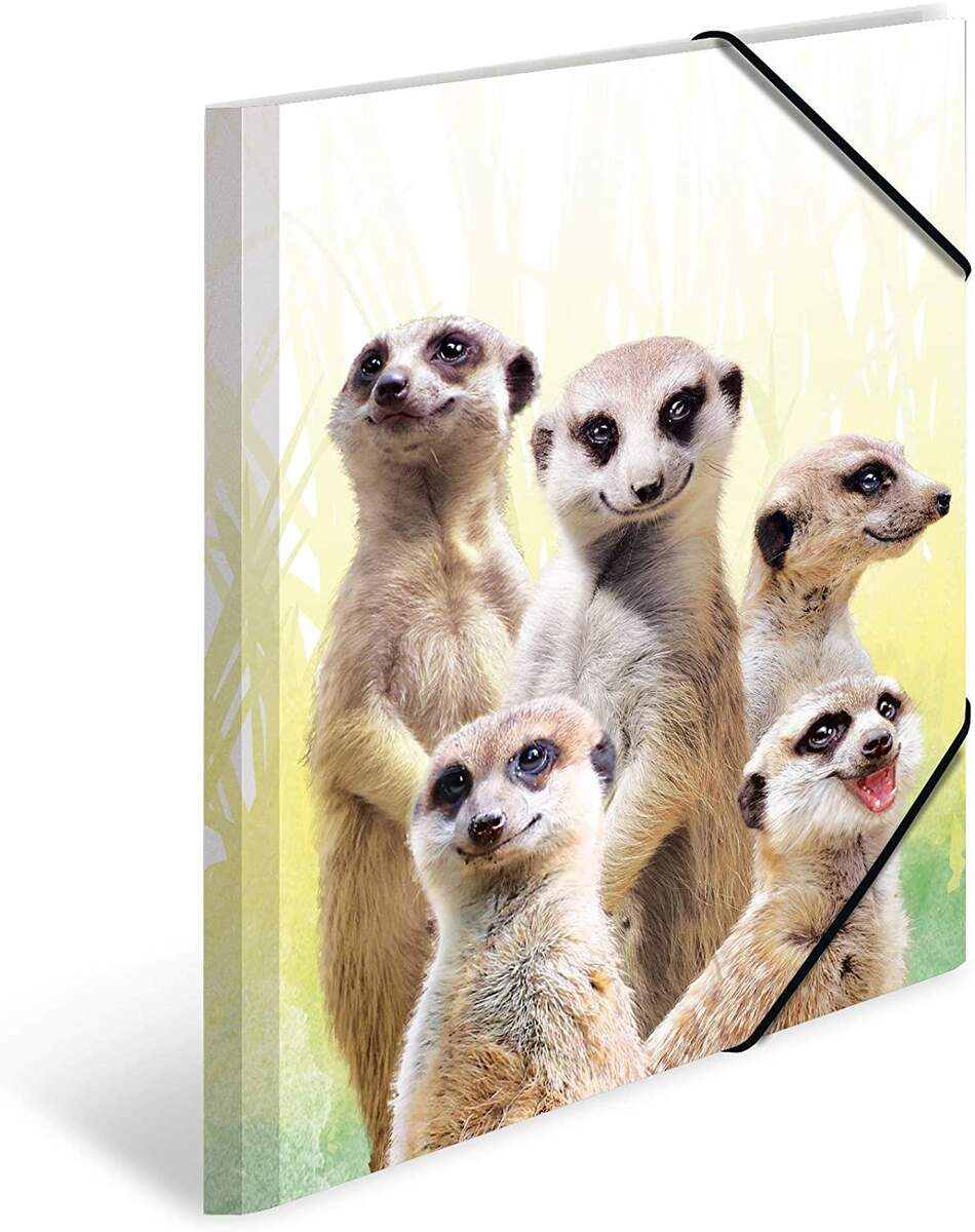 HERMA Sammelmappe, PP A3 exotische Tiere, Erdmännchen