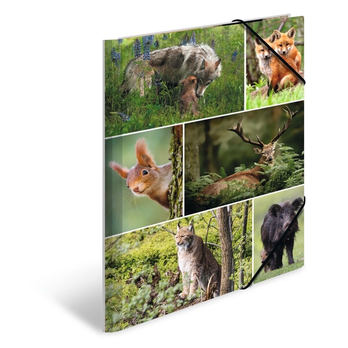 HERMA Sammelmappen A4 Karton Waldtiere