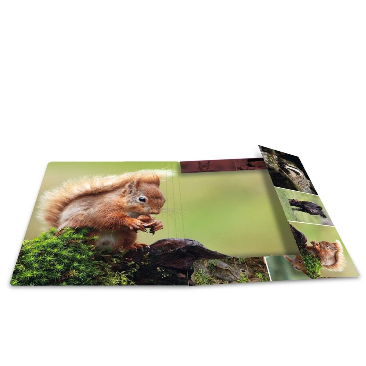 HERMA Sammelmappen A4 Karton Waldtiere