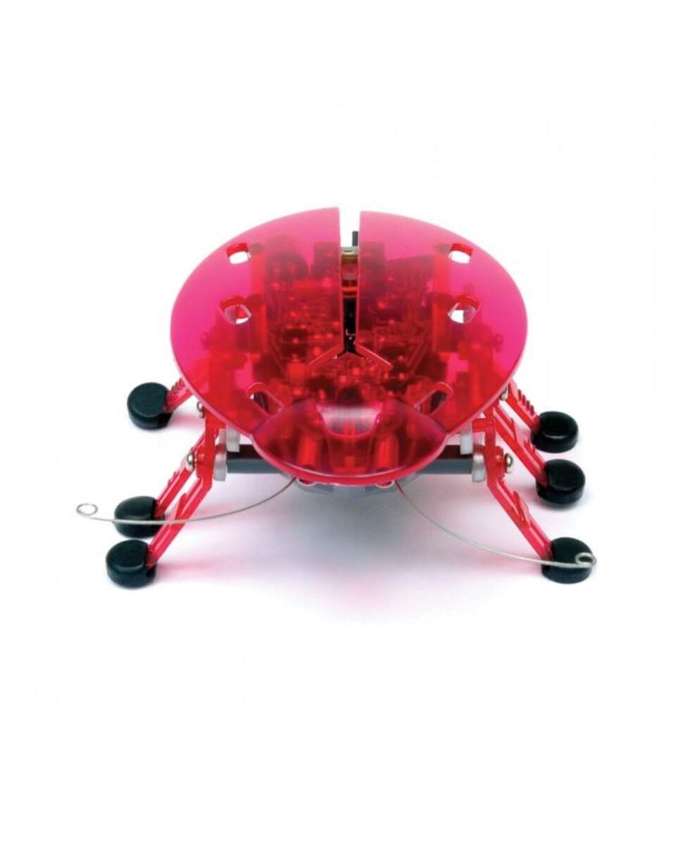 Hexbug Beetle