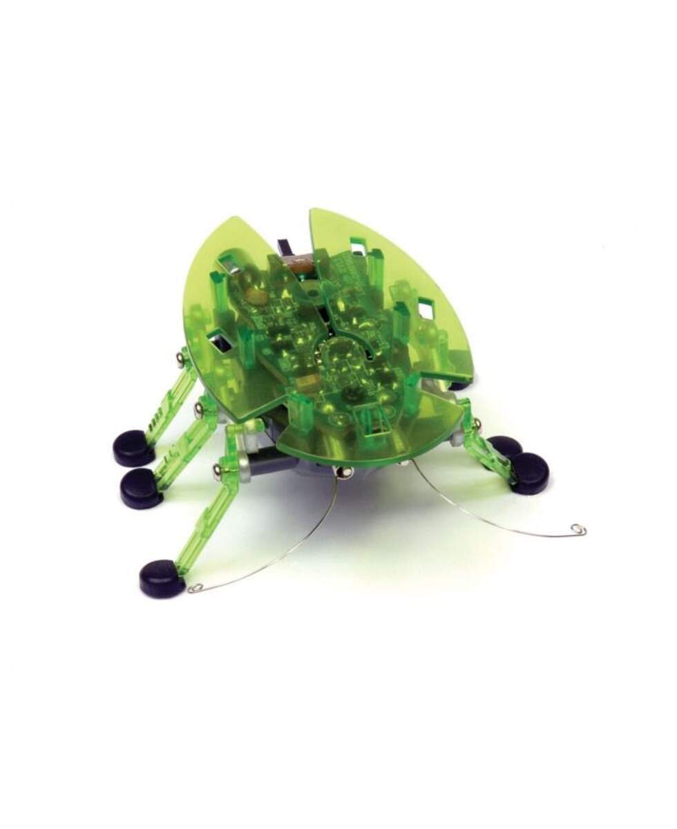 Hexbug Beetle
