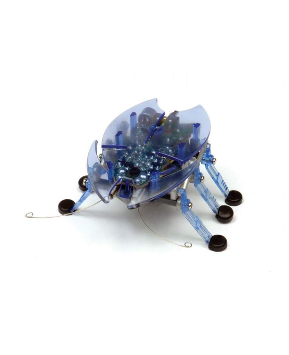 Hexbug Beetle