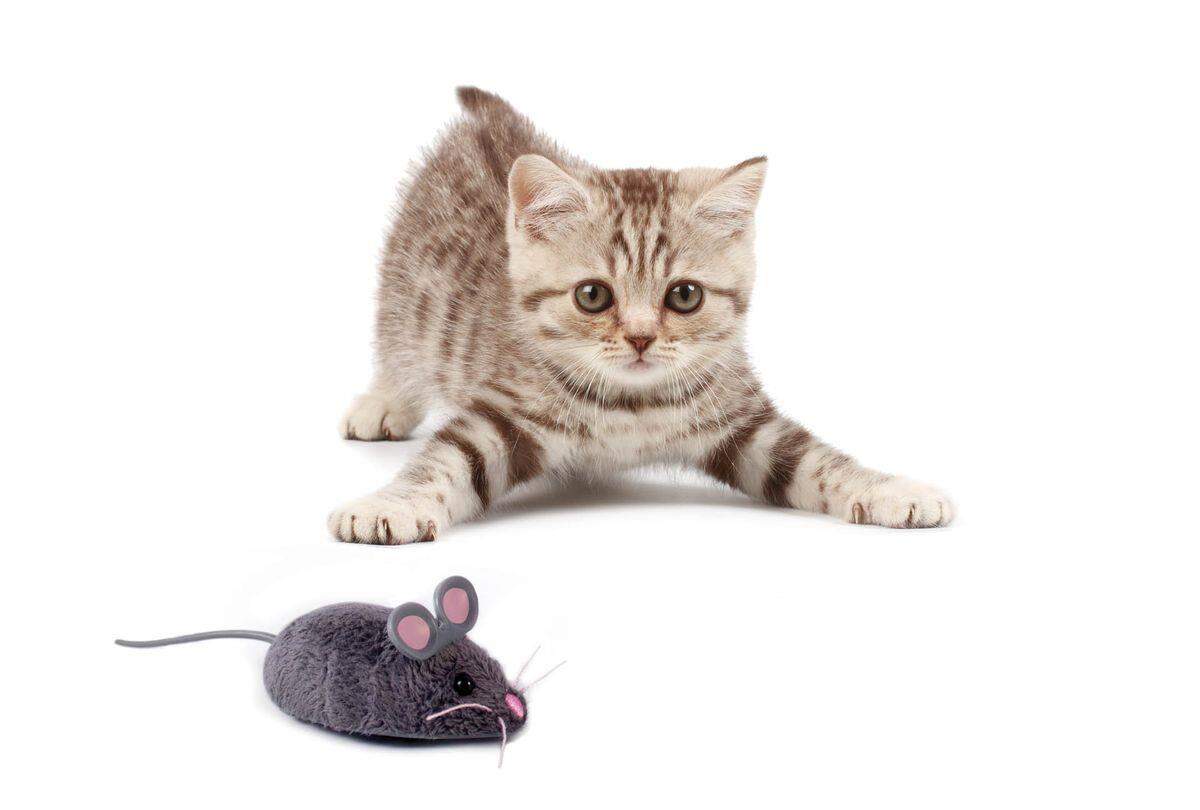 Hexbug Mouse Cat Toy - Grey