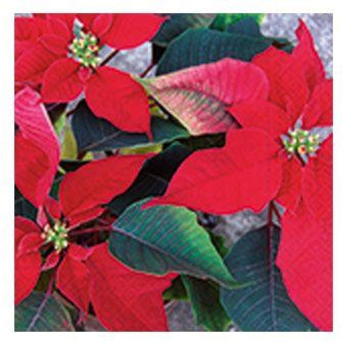 Idena Servietten Weihnachtsmotive, 1 Packung, 8-fach sortiert