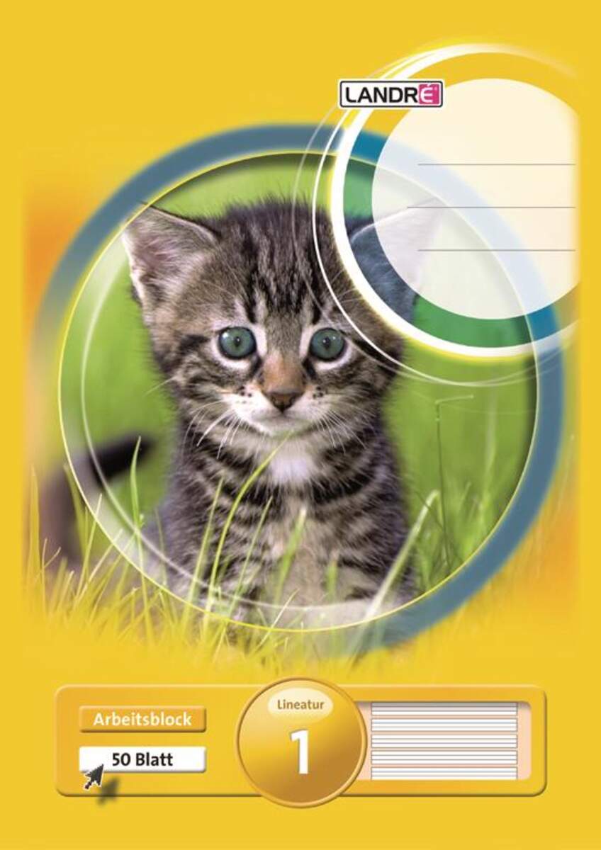 Landré Arbeitsblock A4, 50 Blatt, Lineatur 1