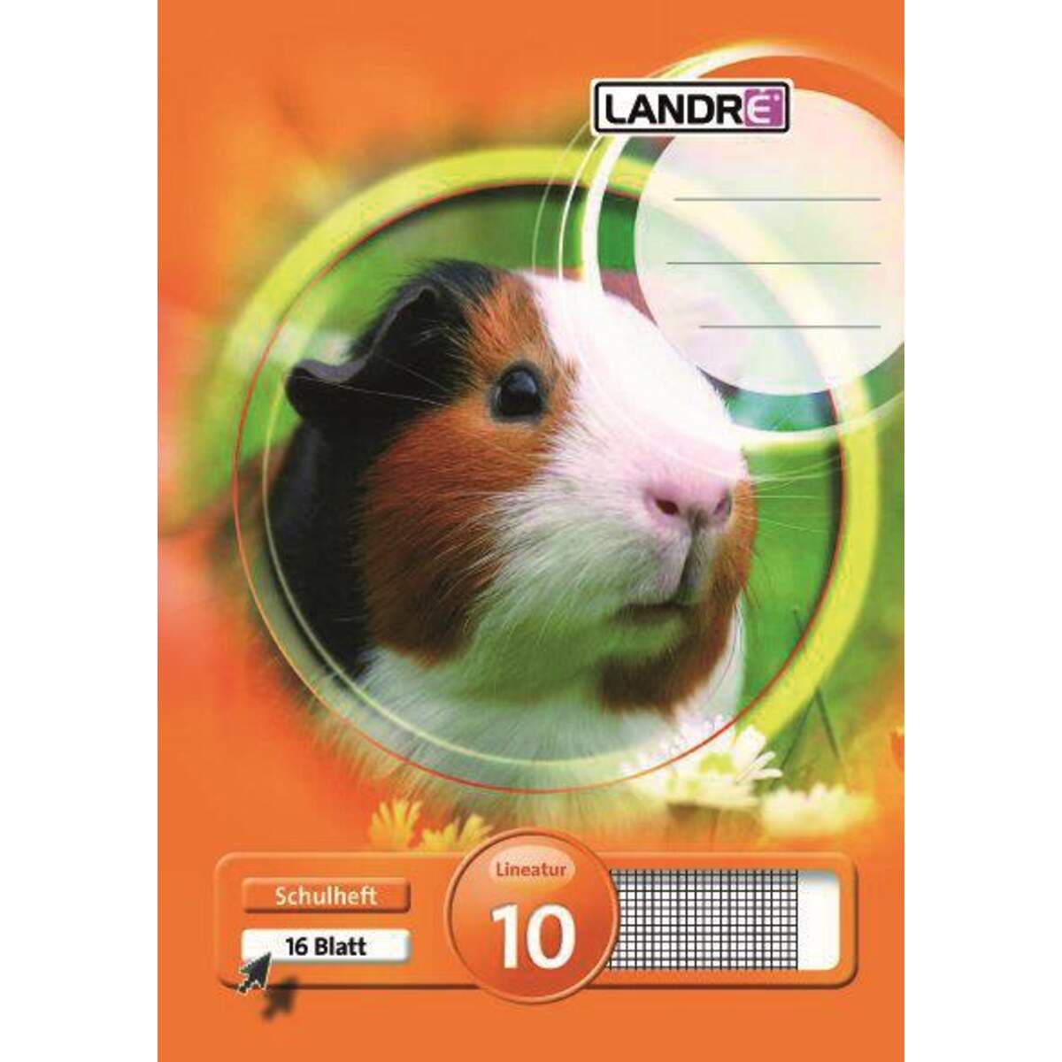 Landré Schulheft A5, kariert, Liniatur 10, 16 Blatt, sortiert