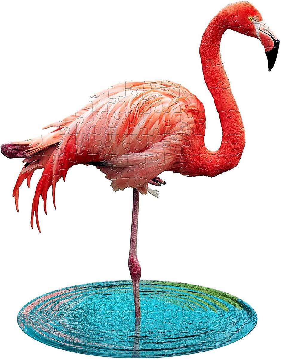 MADD CAPP Konturenpuzzle Junior Flamingo, 100 Teile