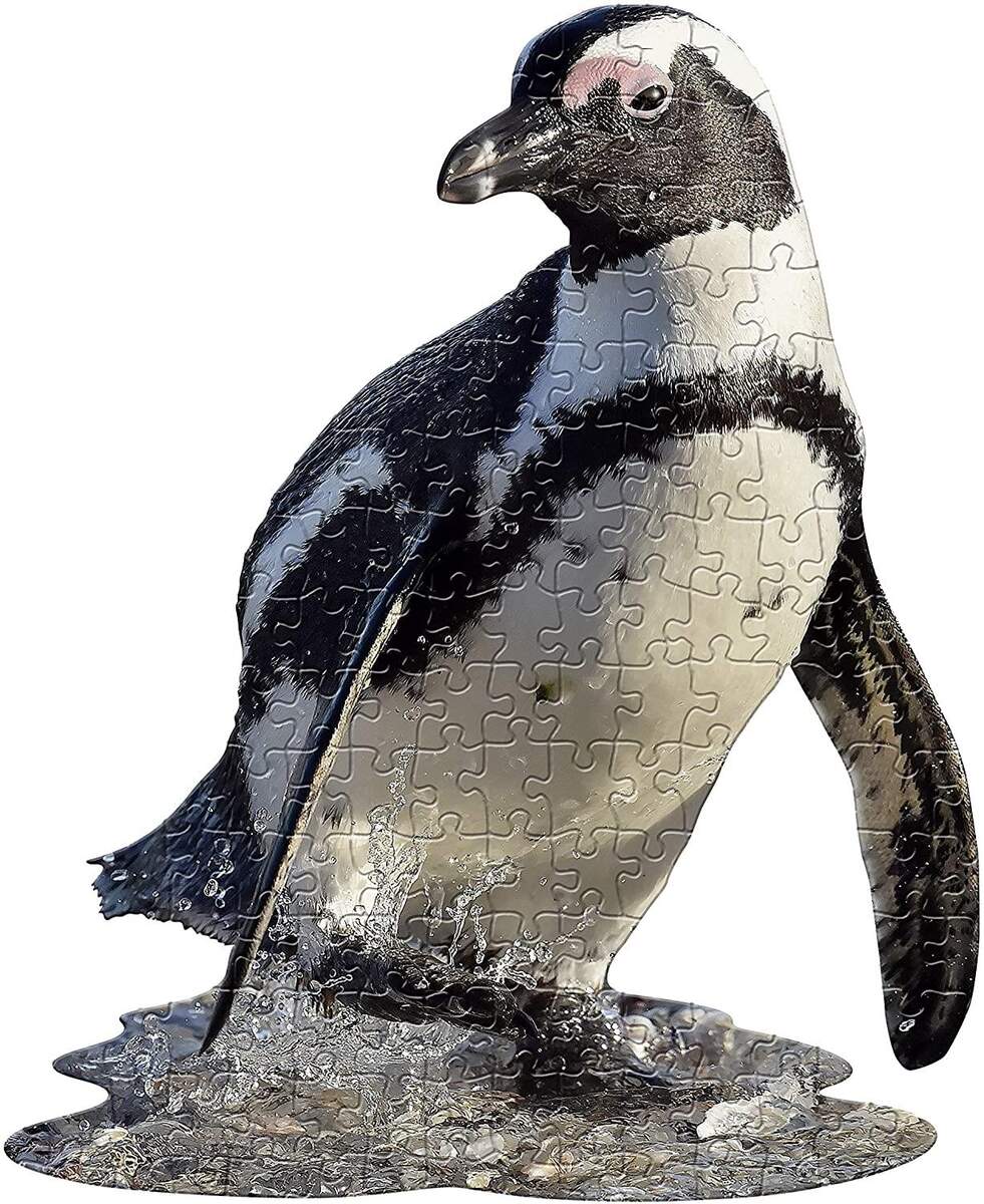 MADD CAPP Konturenpuzzle Junior Pinguin, 100 Teile