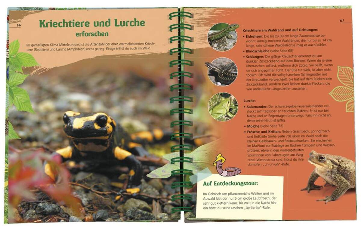 moses. Das Wald-Forscherbuch