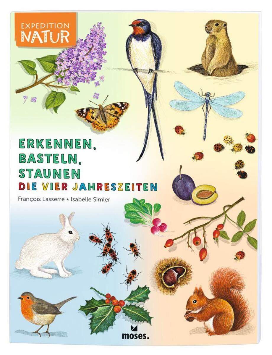 moses. Erkennen, Basteln, Staunen - Vier Jahreszeiten