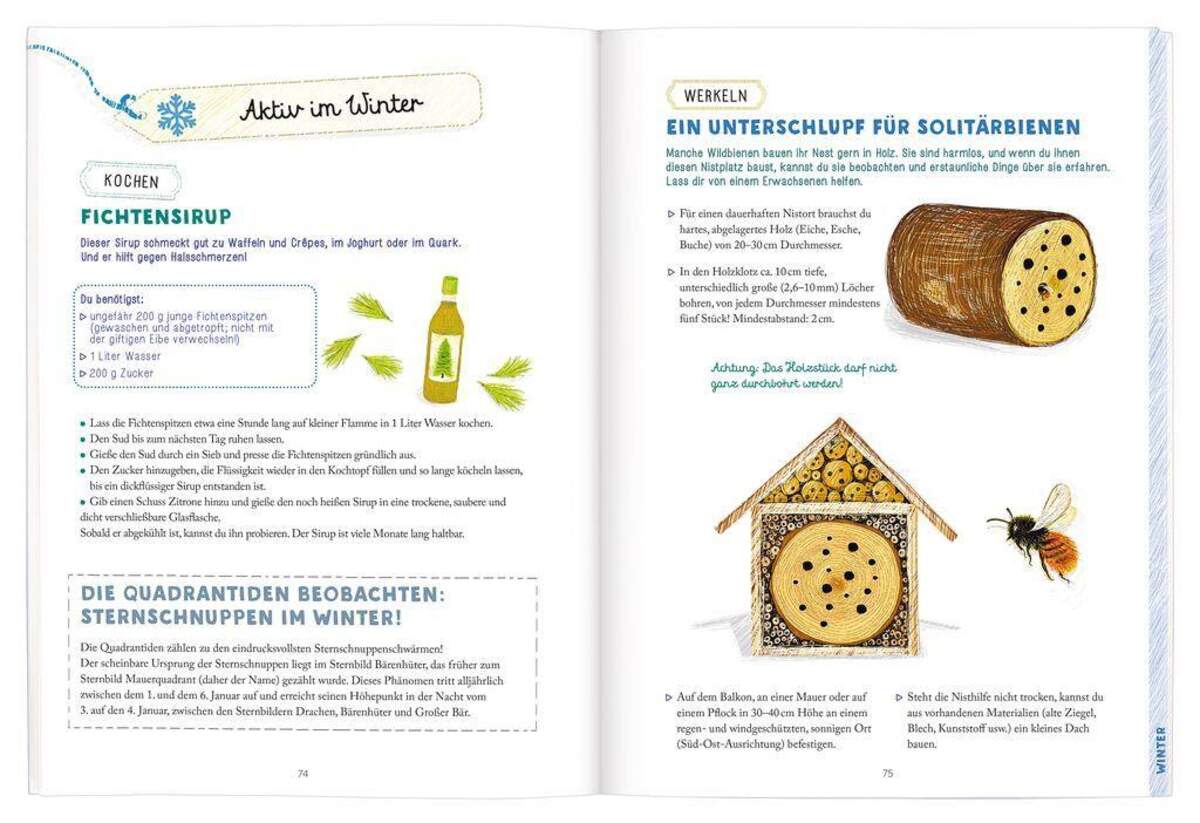 moses. Erkennen, Basteln, Staunen - Vier Jahreszeiten
