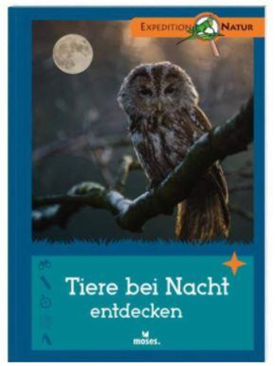 moses. Expedition Natur - Tiere bei Nacht entdecken