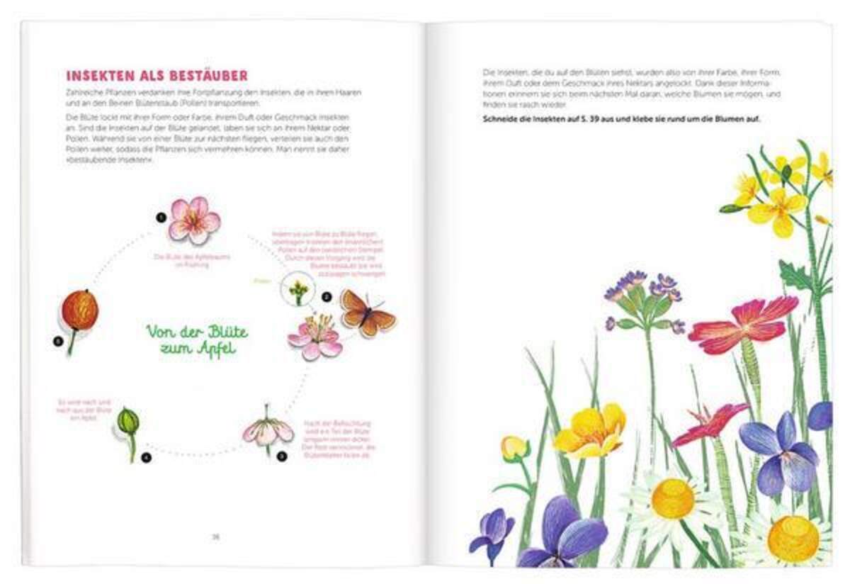 moses. Expedition Natur Malen, Basteln, Staunen Insekten