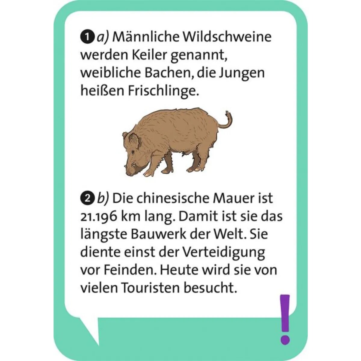 moses. Pocket Quiz junior Allgemeinwissen