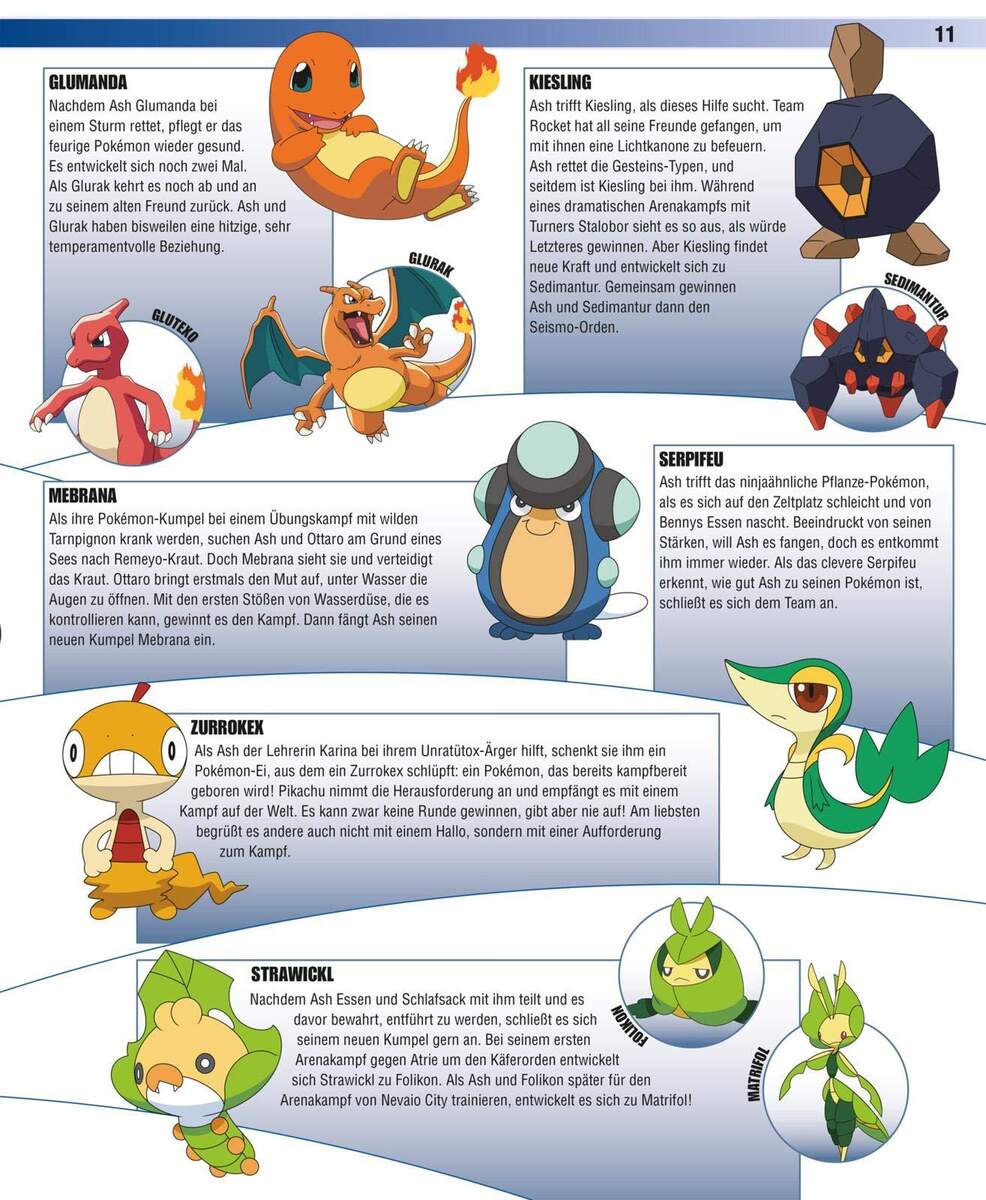 Nelson Pokemon Das große Lexikon