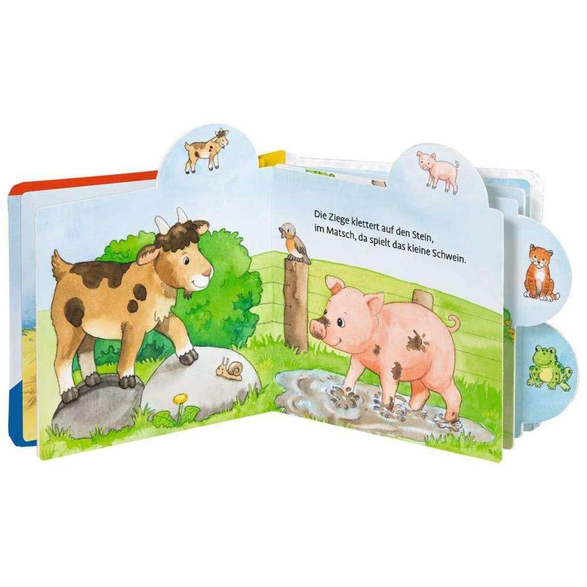 Ravensburger Bilderbuch Alle meine Lieblingstiere