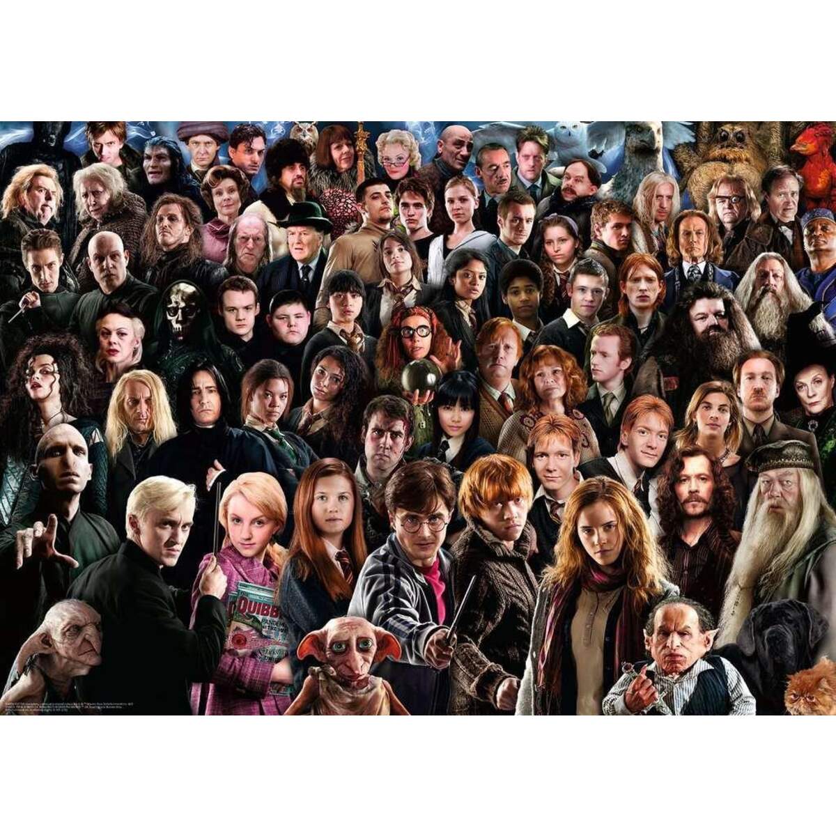 Ravensburger Challenge Puzzle Harry Potter, 1000 Teile