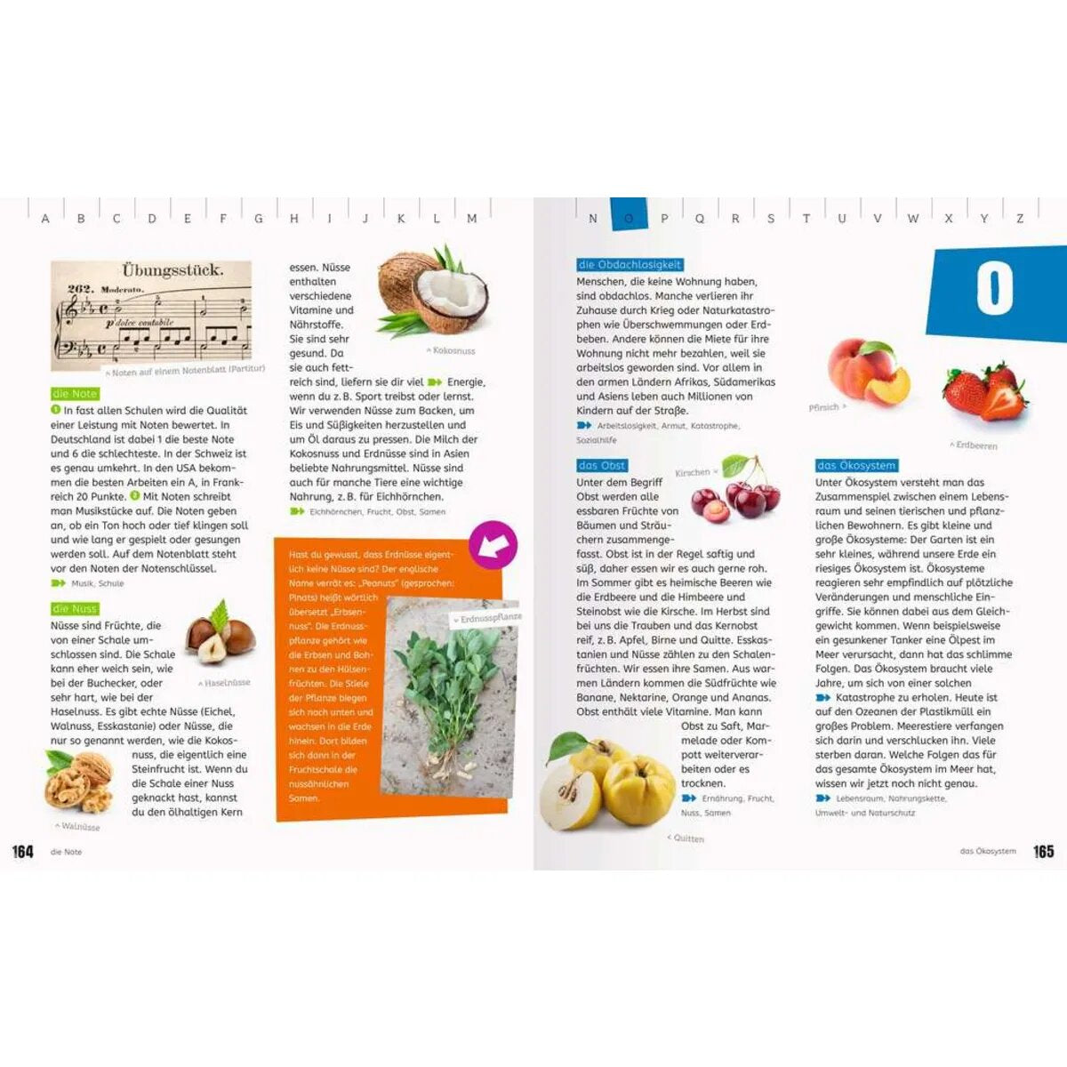 Ravensburger Das Ravensburger Grundschullexikon von A bis Z