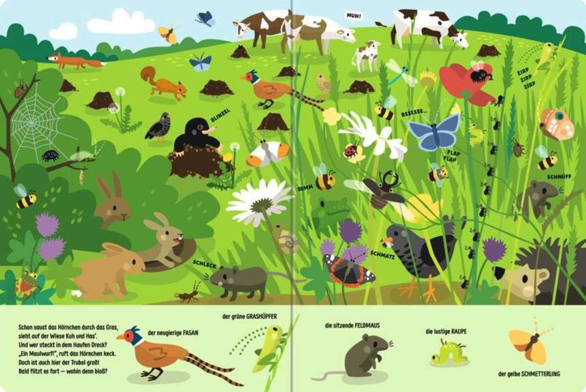 Ravensburger Edition Piepmatz Such mich! Wo bin ich?