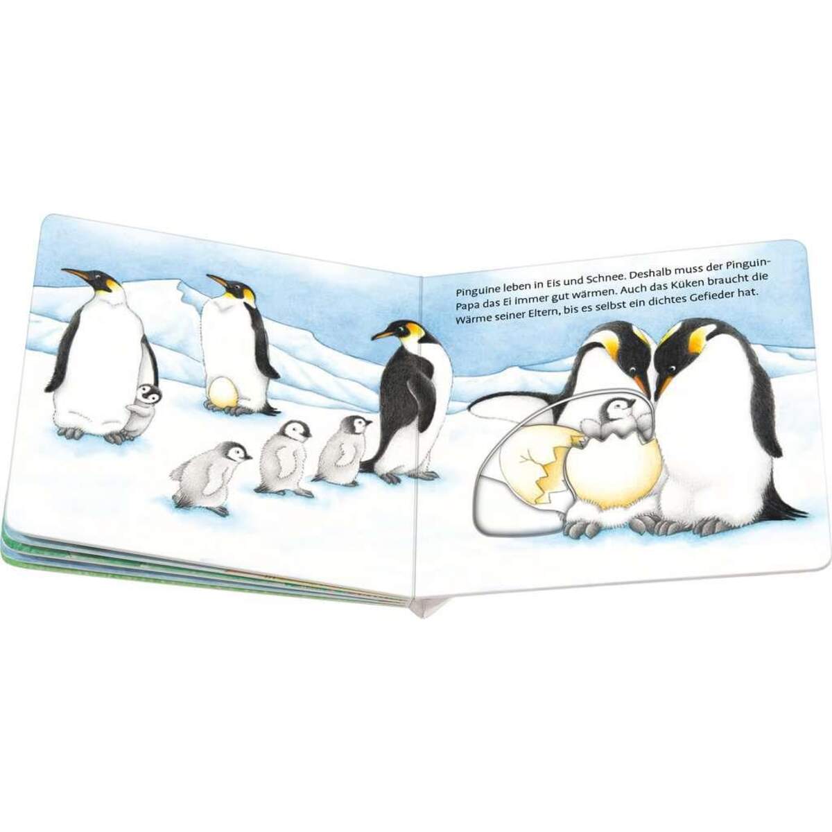 Ravensburger Hops, so hüpft das Känguru