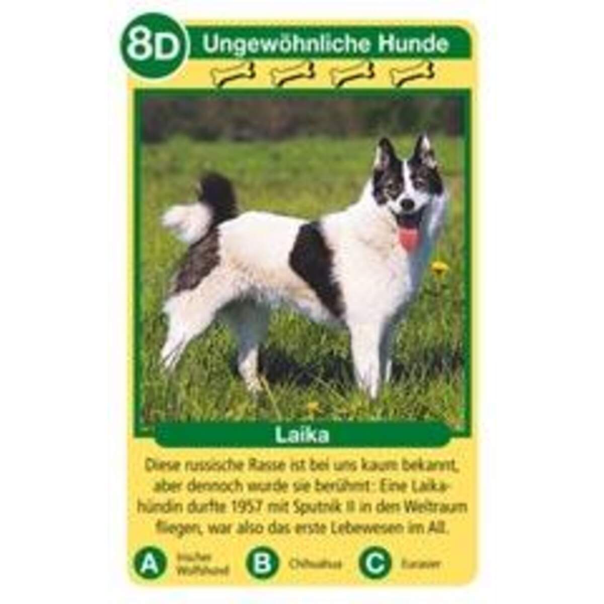 Ravensburger Hunde Tier-Quartett