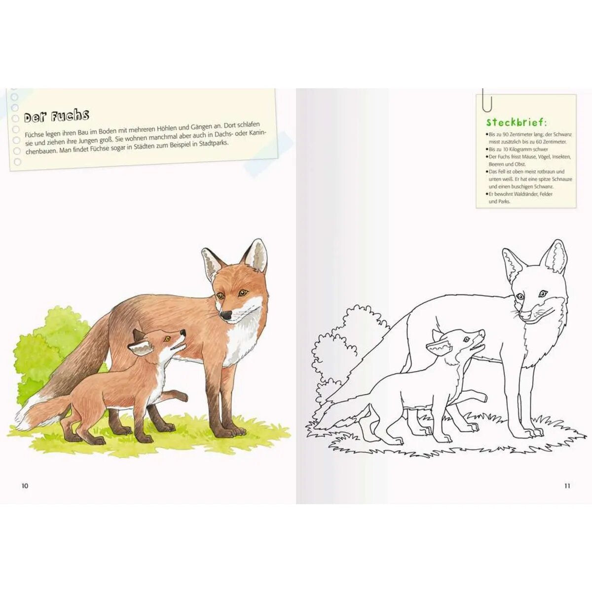 Ravensburger Mein großes Natur-Malbuch